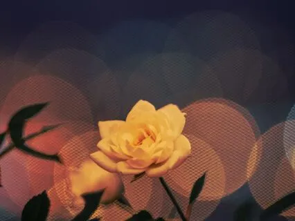 Subliminal Affirmations For Intuition & Inner Knowing