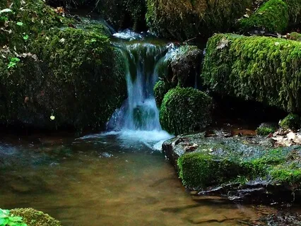 Whispering Falls: The Gentle Bubble Of Flowing Water