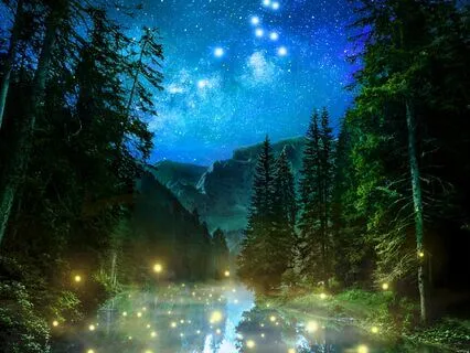 Bedtime Sleep Story: The Whispering Forest