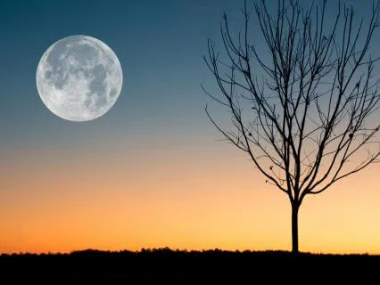 Whispering Notes 8Hr Track ( Deep Sleep )