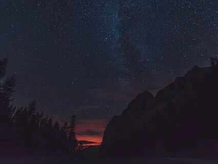 Whispering Pines: Sleep In Nature’s Embrace