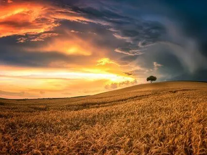 Whispering Tranquility: Surrender To Serenity