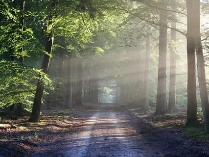 Whispering Winds (Individual Meditation)