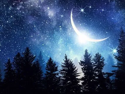 Whispers From The Heart - A Magical Story For Grown Ups