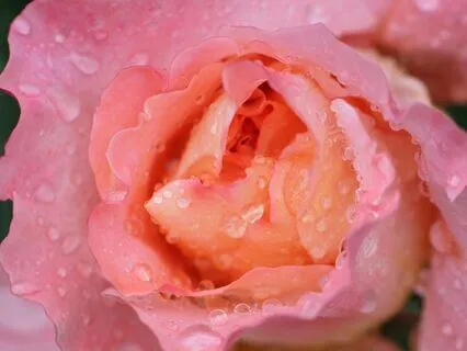 Whispers In The Rain (Piano And Rain)