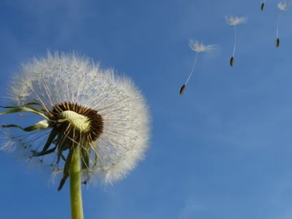 Whispers In The Wind