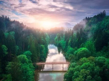 Whispers Of Calm: Anxiety Relief Melodies