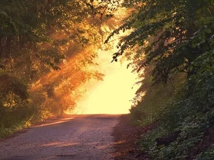 Whispers Of Dreamland : Sleep Meditation