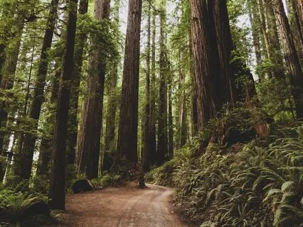 Whispers Of Healing: A Love Letter To Self