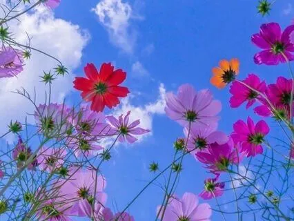 Whispers Of Mother Earth: A Tribute To Her Love