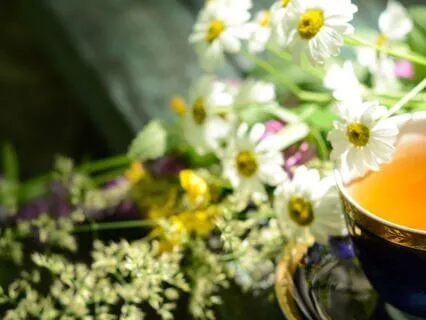 Whispers Of Peace Meditative Soundscape