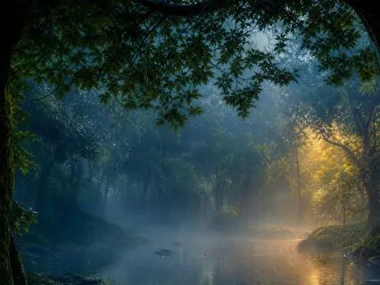 Whispers of Rain for Deep Sleep - 8 Hours