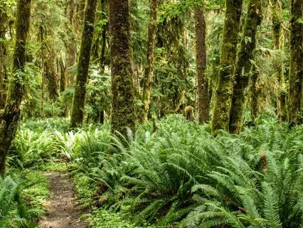 Whispers Of Reflection