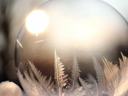 Whispers Of Renewal - A Solstice Meditation