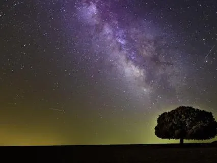 Whispers Of Serenity – Sleep Relaxation Sounds