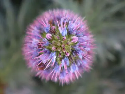 Whispers Of The Body: An Acupressure Journey Into Stillness