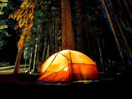 Whispers Of The Forest: A Delta Sleep Track