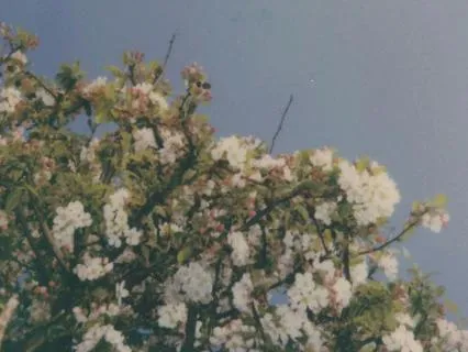 Whispers Of The Heart (Cello)