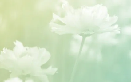 Whispers Of The Heart: Healing Vibrations Of 639hz