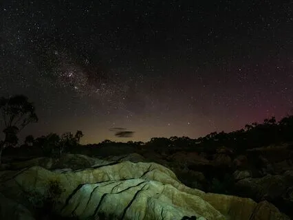 Whispers Of The Rainforest: A Journey Into Jungle Serenity