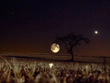 Whispers Of The Sage: Yoga Nidra With Mantra