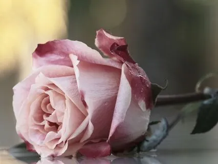 Whispers Of The Unseen