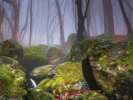 Whispers Of The Wild Goddess: Meeting The Divine Within