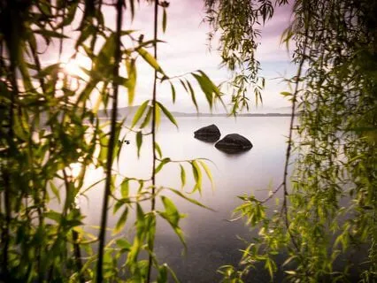 Whispers Of Tranquility: Soothe Your Anxious Mind