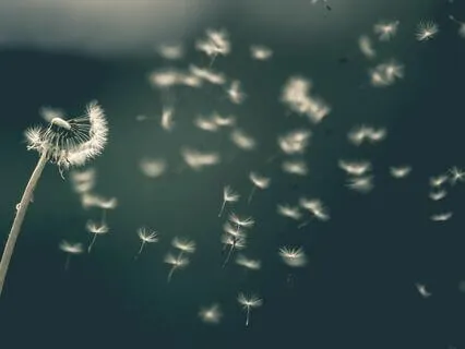 Whispers On The Wind