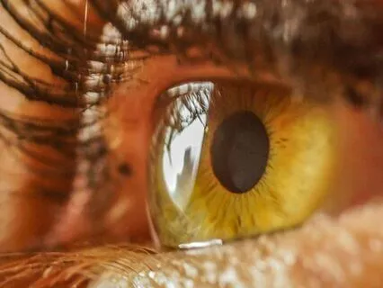 Whispers To The Soul - Clarity