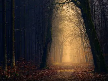 White Light Cleanse Quick Stress & Overwhelm Relief