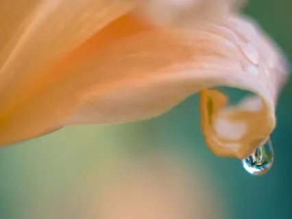 White Light Energy Clearing & Deep Nervous System Healing