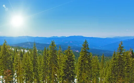 White Light Guided Meditation 