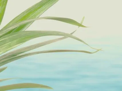 Healing Light: Visualisation For Relaxation