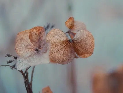 White Light Meditation For Reconnection To Source