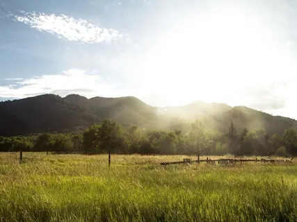 White Light Meditation For Releasing & Receiving
