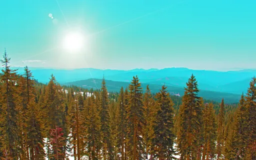 White Light Mindful808s Remix