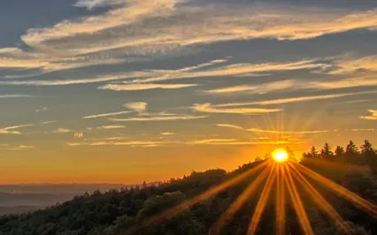 White Light Reiki Healing For Pets 