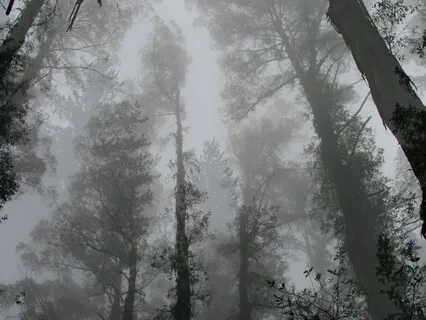 White Noise - 285 Hz LPF (For Sleep & Relaxation)