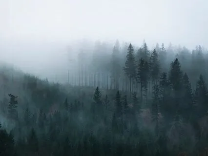 White Noise - 417 Hz LPF (For Sleep & Relaxation)