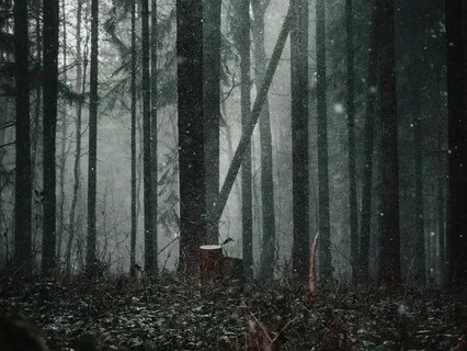 White Noise - 528 Hz LPF (For Sleep & Relaxation)