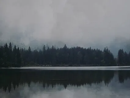 White Noise - 741 Hz LPF (For Sleep & Relaxation)