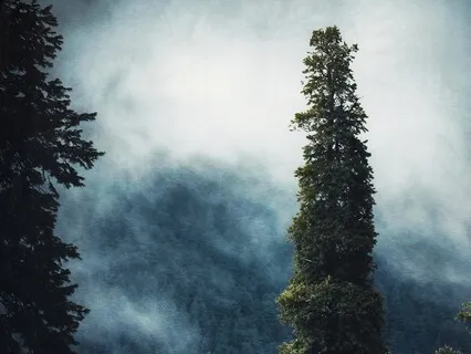 White Noise - 852 Hz LPF (For Sleep & Relaxation)