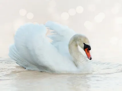 White Noise Ambience