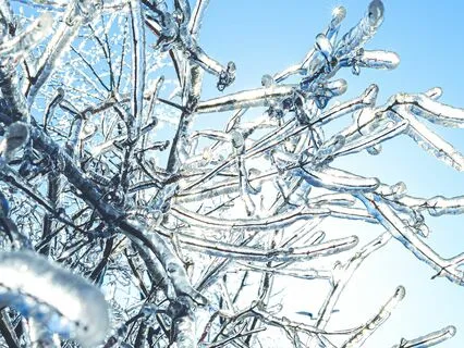 White Noise Extended With Delta Waves