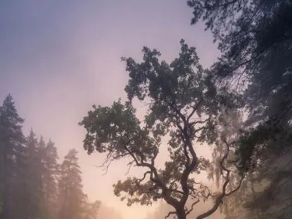 White Noise For Deep Sleep And Focus