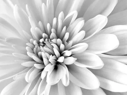 White Noise For Deep Sleep