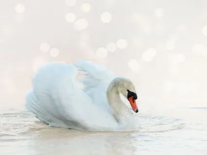 White Noise for Noise Cancelling  [White Noise Collection]