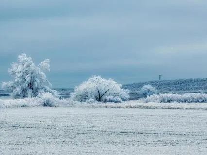 White Noise For Sleep, Deep Sleep Sound, Insomnia Relief