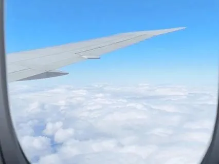 White Noise From The Airplane Cabin For Deep Sleep